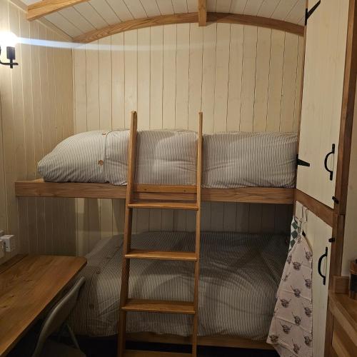 a bunk bed in a tiny house with a ladder at Dark Skies den in Fryup
