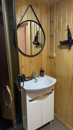 a bathroom with a sink and a mirror at Перлина Буковини in Lipovany