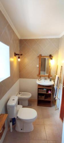 a bathroom with a toilet and a sink at Casa da Bica in Alvalade
