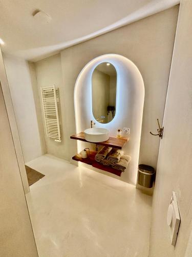 une salle de bain avec un lavabo et un miroir dans l'établissement Maison à avec jardin privatif dans domaine des Crozes, à Vienne