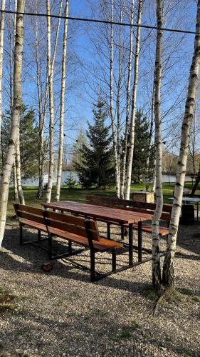 two benches sitting in a park next to trees at Перлина Буковини in Lipovany