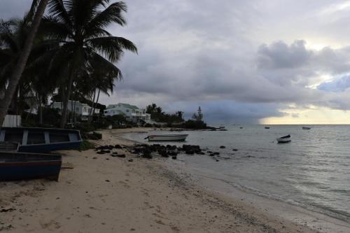 a beach with boats on the water and palm trees at Sunset view Suite in Trou dʼ Eau Douce