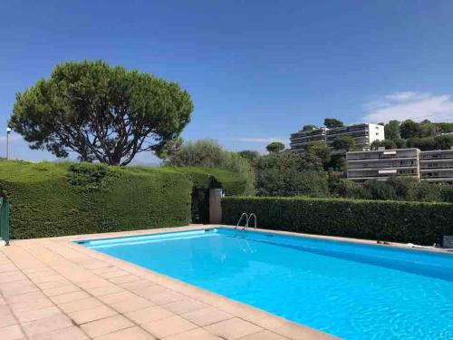 une piscine dans une cour avec un arbre en arrière-plan dans l'établissement Appartement - Chez Laura, à Villeneuve-Loubet