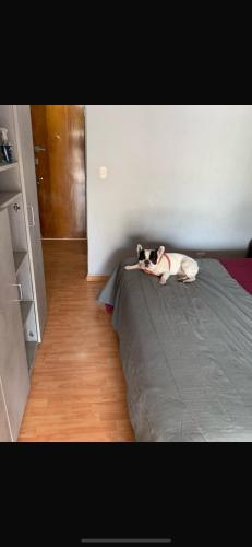 En eller flere senge i et værelse på Departamento con Perro