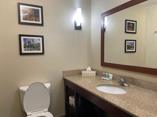a bathroom with a sink and a toilet and a mirror at Forestpark Suites in Cincinnati