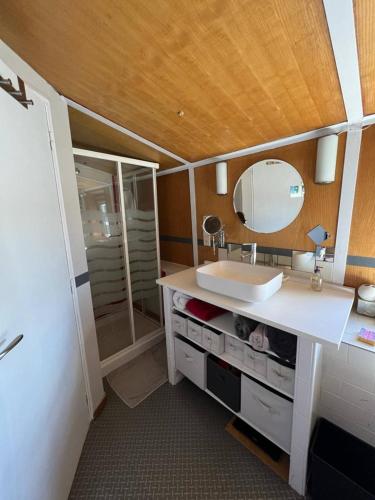 une salle de bain avec un lavabo et un miroir dans l'établissement Péniche atypique - 13 min de Paris - Loft privée, à Juvisy-sur-Orge