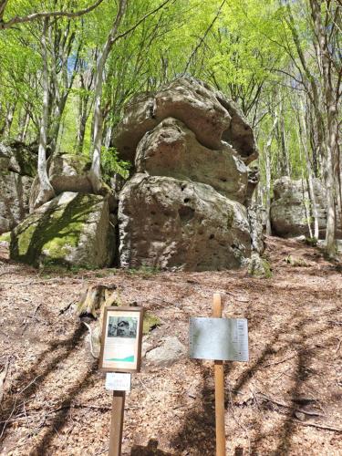 a display of a rock formation in a forest at La piazzetta della frutta in Piancastagnaio