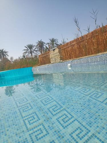 a large swimming pool with a blue tile floor at Dr house in Siwa