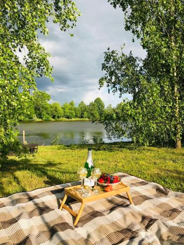 a picnic table on a blanket in front of a lake at Перлина Буковини in Lipovany