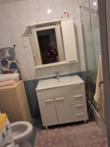 Apartment Studenka