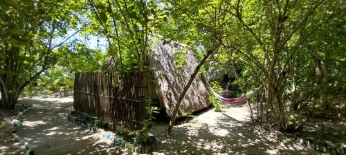 a fence in the middle of a park with trees at Eco-Camping Mango Feliz Rincón del Mar in San Onofre