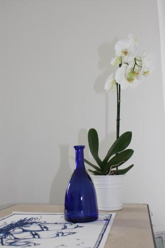 a blue vase sitting on a table next to a plant at One More Night in Fregene