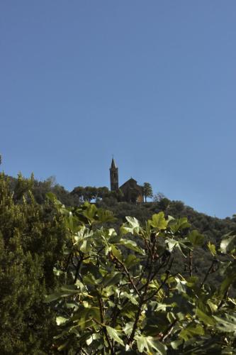a building on top of a hill with trees at A BeautifuL Terrace on Paradise Imperia - by HOST4U in Montegrazie