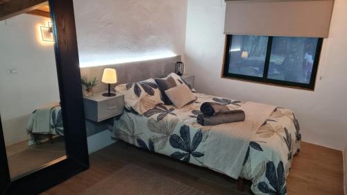 a bedroom with a bed and a mirror at Casita Sarabia in Ponteareas