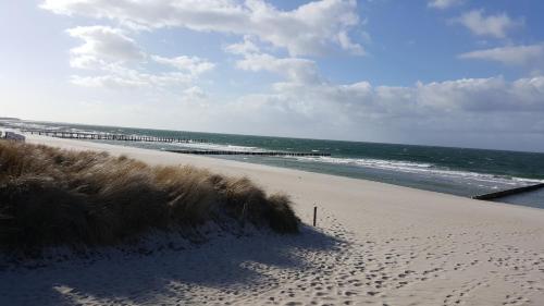 a beach with footprints in the sand and the ocean at Captain Pahlen Ferienanlage in Zingst