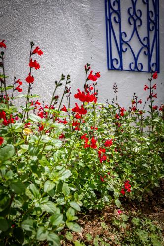 a bunch of red flowers in front of a building at Skiathos Pearl in Skiathos Town