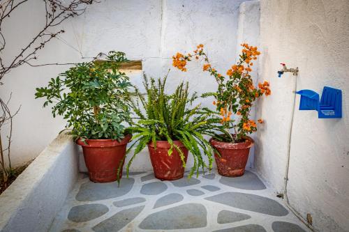 three potted plants in pots on a wall at Skiathos Pearl in Skiathos Town