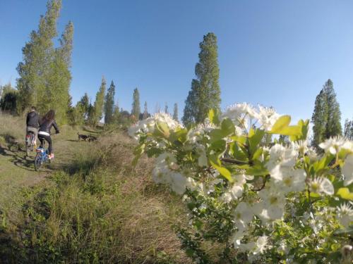 two people riding bikes in a field with flowers at Eureka Azienda Agrituristica in Cavallino-Treporti
