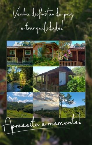 a collage of pictures of houses andyards at Cabana in Annitapolis