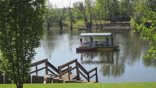 a boat on a river with people on it at Vila Sunce Morovic in Morović