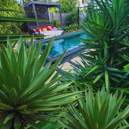 a swimming pool with plants in a yard at 4 BDR Airconditioned Tropical Escape, Lap Pool & Parking for Caravans, Boats and Trailers in Casuarina