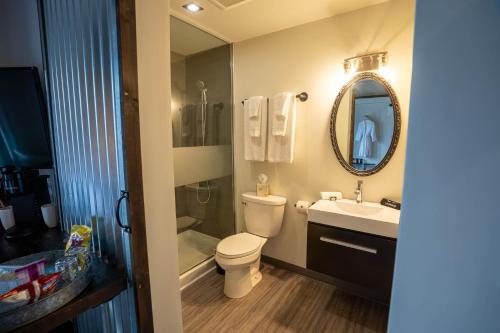 a bathroom with a toilet and a sink and a mirror at Heart & Hops Brewery Suites in Kingsville