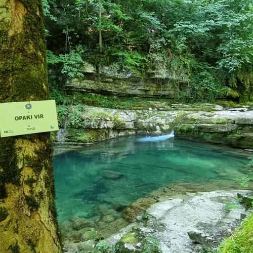 a sign on a tree in a pool of water at Apartmаn Avram ll in Kotor-Varoš