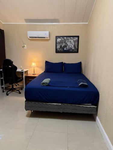 a bedroom with a blue bed and a desk at Tutul House in Tampa