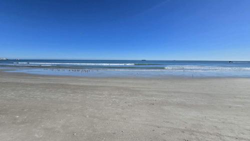 a group of birds standing on the beach at Royal Mansions Beach Front Vacation in Cape Canaveral