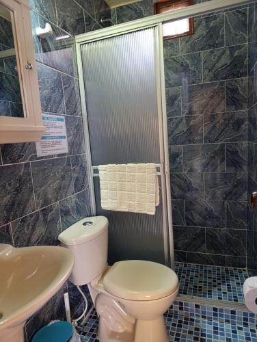 a bathroom with a toilet and a sink at Mirador Finca Morrogacho in Manizales