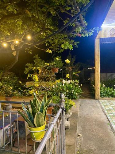 a garden with a bunch of plants and a fence at Blue Garden Homestay in Ninh Binh