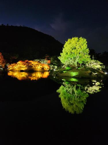 a tree sitting on top of a body of water at Eunyoung Stay in Suwon