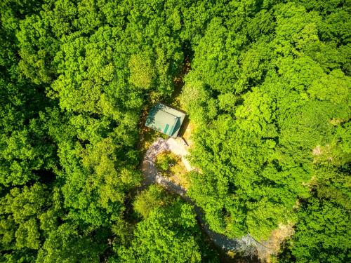 an aerial view of a house in the middle of a forest at Deer To My Heart, Free Attraction Tickets, Hot Tub, Arcade, Air Hockey, WIFI!!! in Sevierville