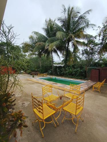 a group of yellow chairs next to a swimming pool at Paraiso Hortensia Ecolodge in Santiago de los Caballeros