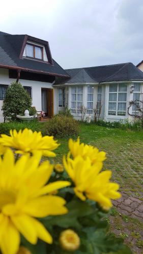 a group of yellow flowers in front of a house at Pension Elbrs in Mariánské Lázně