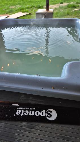a pool of water with the back of a boat at Cabana Bendis in Suciu de Sus