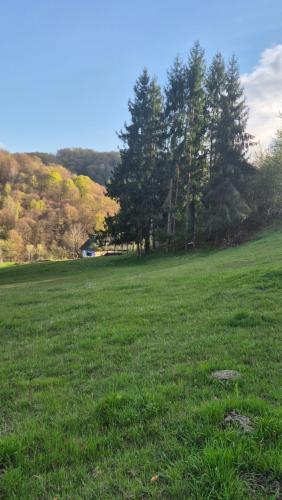 a large green field with trees in the background at Cabana Bendis in Suciu de Sus