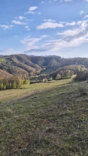 a field of grass with hills in the background at Cabana Bendis in Suciu de Sus