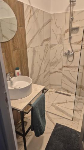 a bathroom with a sink and a shower at Cabana Bendis in Suciu de Sus