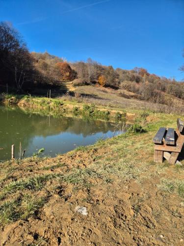 two picnic tables next to a body of water at Cabana Bendis in Suciu de Sus
