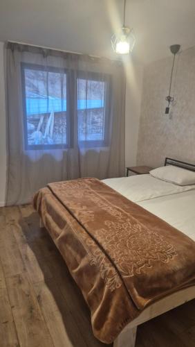 a bedroom with two beds and a window at Cabana Bendis in Suciu de Sus