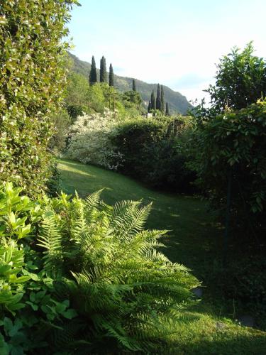 a garden with lush green plants and trees at Beautiful new apartment with private entrance and parking 5 min walking from center in Bellano