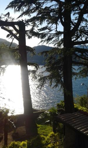 a view of the water with trees in the foreground at La Cà del Menèc in Lierna