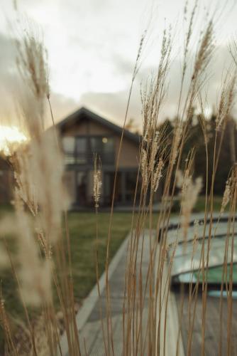a field of grass with a house in the background at Berti in Upesgrīva
