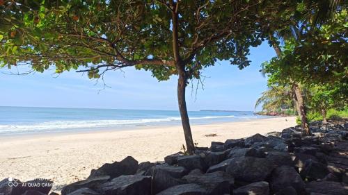a beach with rocks and a tree and the ocean at Peaceful Homestay near Kizhunna Beach in Thottada