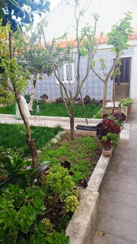 a garden with trees and plants in front of a building at Ginjals 67 in Almargem do Bispo
