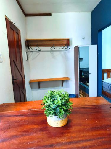a potted plant sitting on top of a wooden table at Hospedaria Caripí in Barcarena