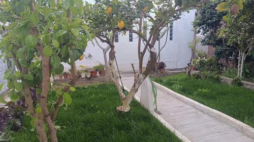 a garden with two trees and a wooden walkway at Ginjals 67 in Almargem do Bispo