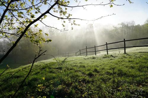 Paesaggio naturale nelle vicinanze del lodge