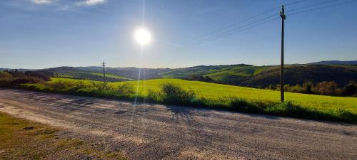 a dirt road next to a green field with the sun at Casa i Cipressi in SantʼAnastasio